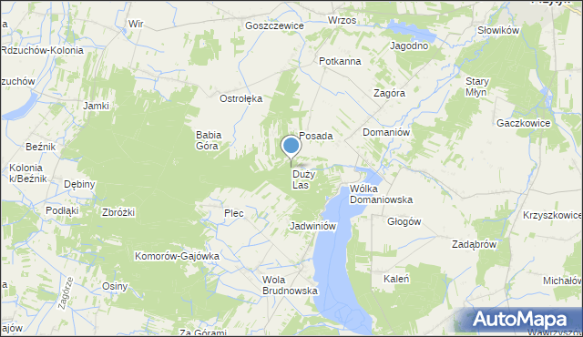 mapa Duży Las, Duży Las gmina Przytyk na mapie Targeo